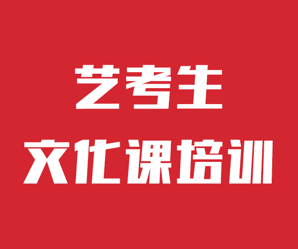 艺考文化课艺考文化课集训班老师专业